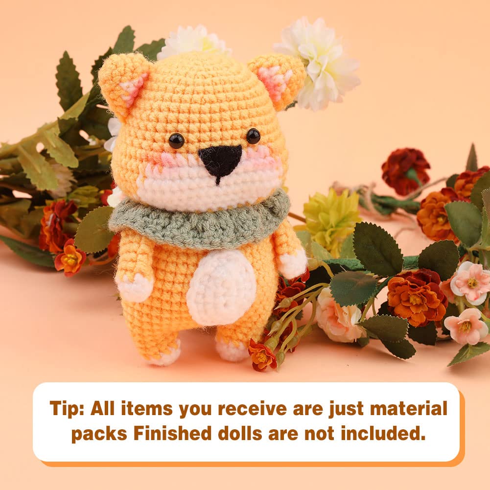 Kit de crochet Corgi pour débutants