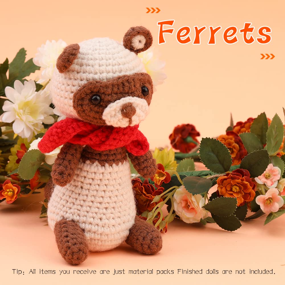 Kit de crochet pour furet pour débutants